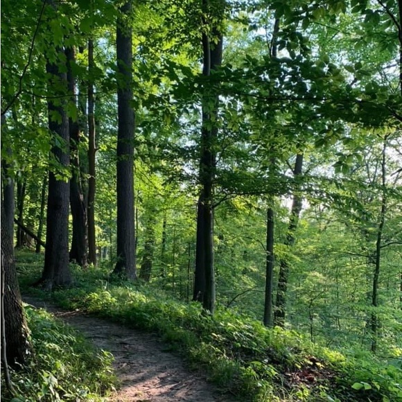 Meet your Posher, Michelle - Picture 4 of 9